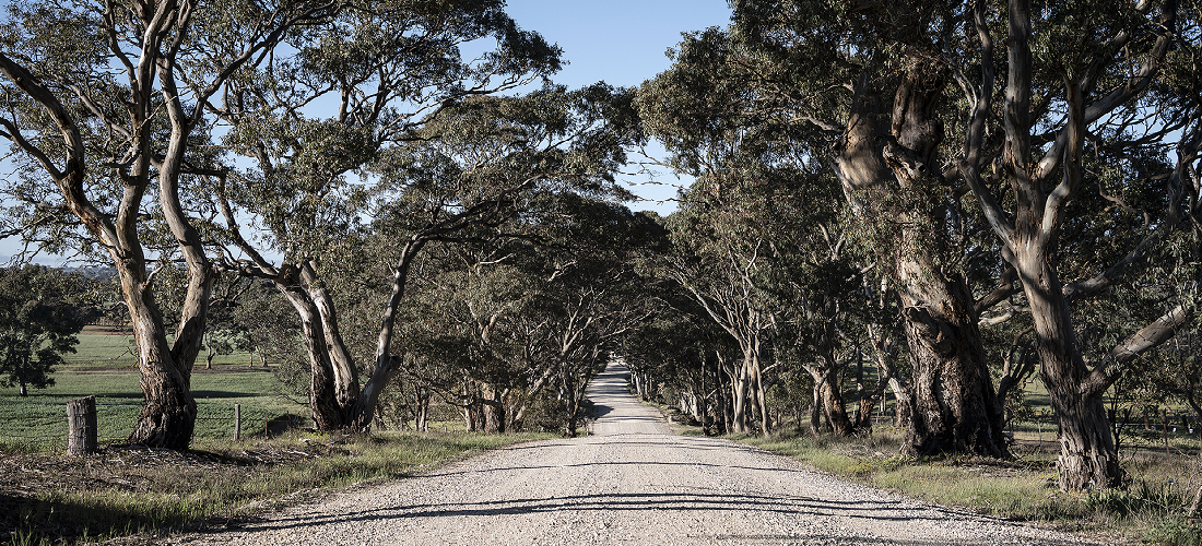 Tarrawatta surrounding area